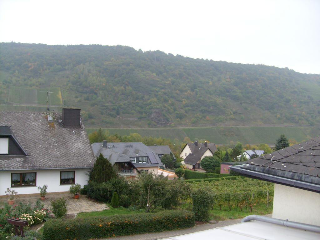 Pension Kroth An Der Mosel Briedel Exterior photo